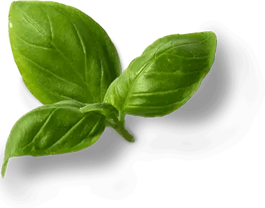 Alabama Chicken & Burger