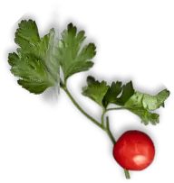 Alabama Chicken & Burger