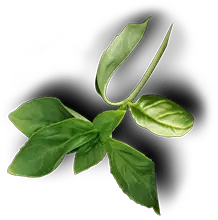 Alabama Chicken & Burger