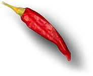 Alabama Chicken & Burger