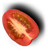 Alabama Chicken & Burger