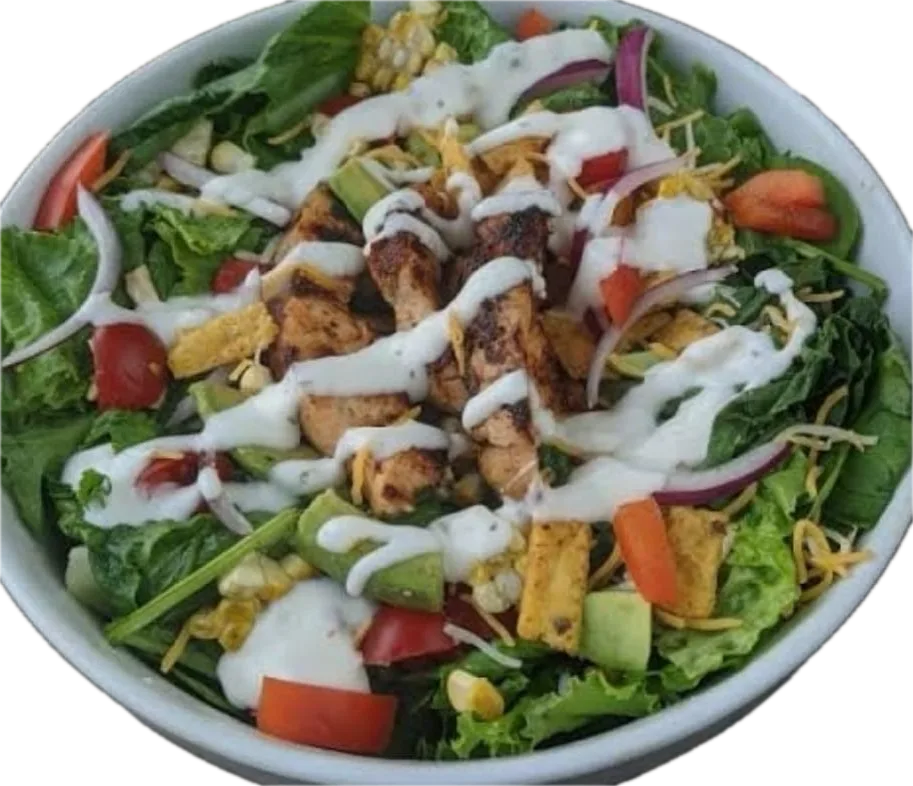 Alabama Chicken & Burger