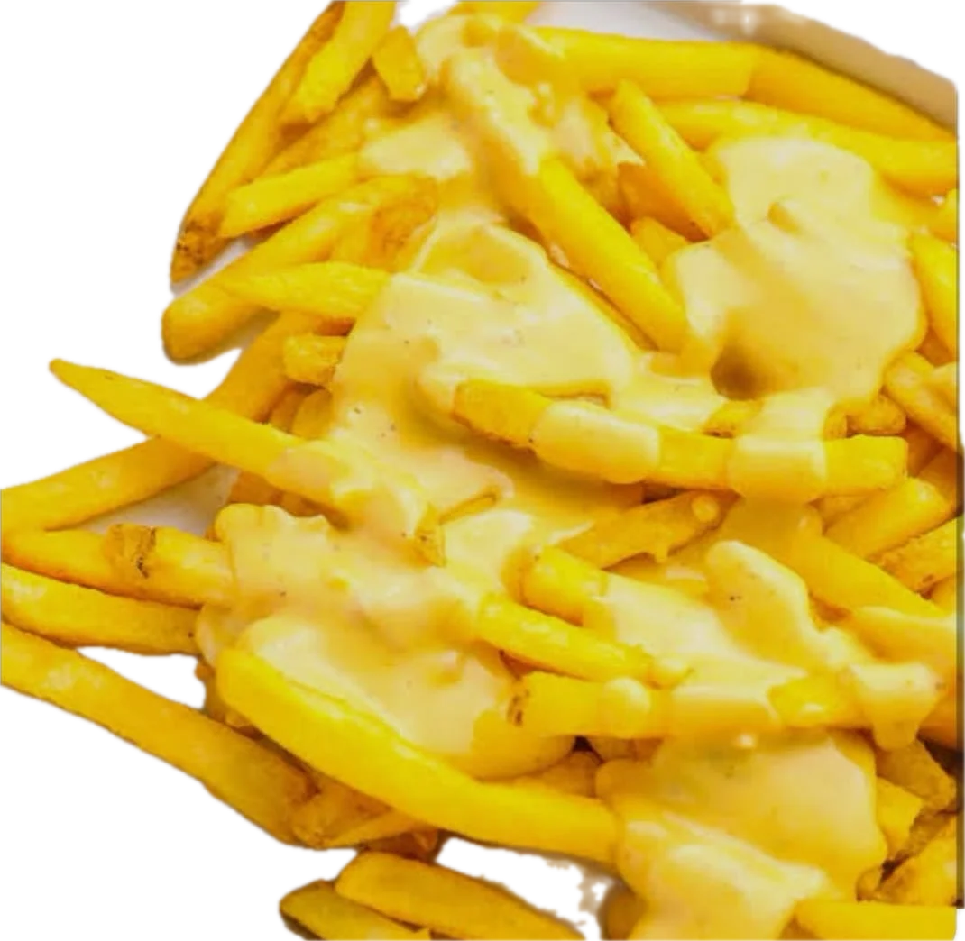 CHEESE FRIES