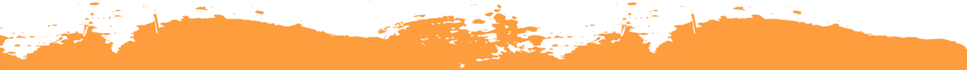 Alabama Chicken & Burger